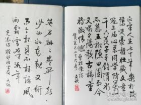 名家李文秋手写毛笔字书法小字体原稿字画收藏类A4纸16开大50页