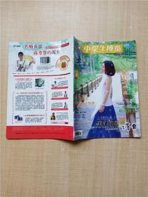 中学生博览  映象志 2013.5B 总第536期/杂志