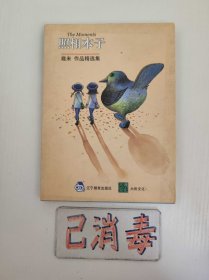 照相本子 幾米作品精选集