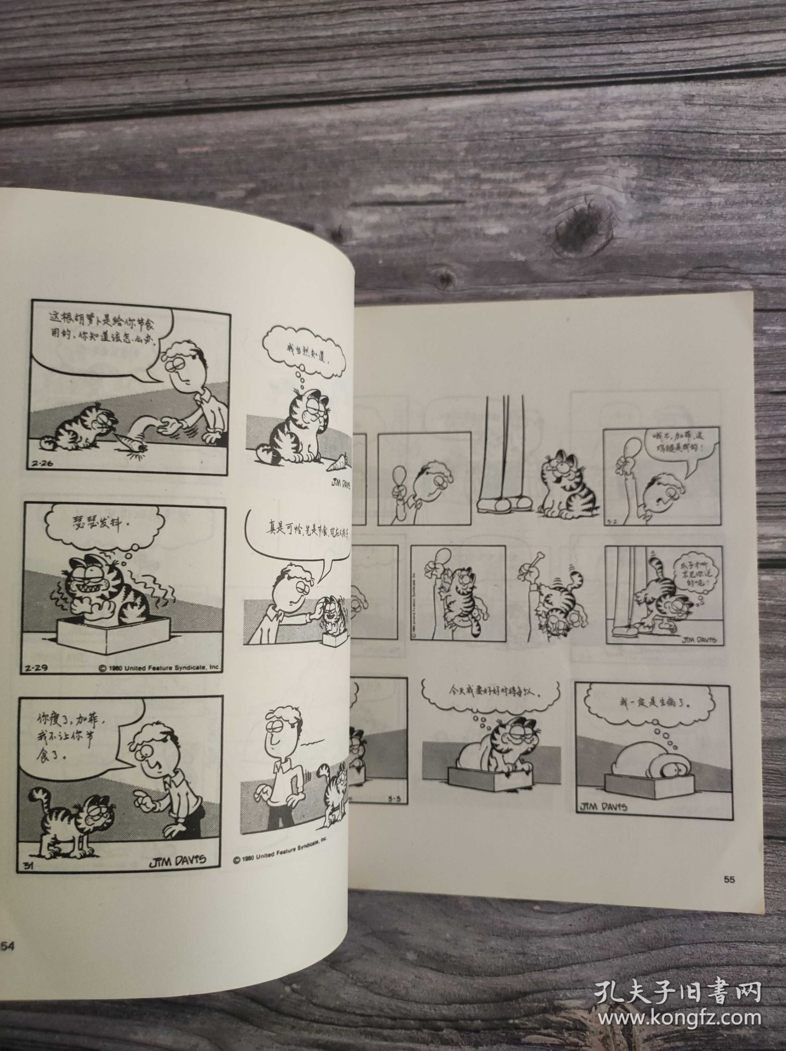 生活·爱情·幽默 加菲猫 世界系列连环漫画名著丛书