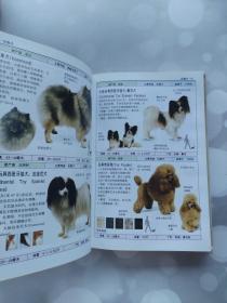 名犬 世界各地300多种名犬的彩色图鉴