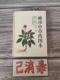 袖珍中草药图本