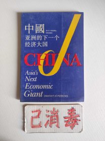 中国：亚洲的下一个经济大国