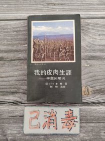 我的皮肉生涯 李敖如是说