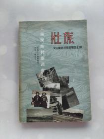 云南民族村寨调查 壮族 文山攀枝花镇旧平坝上寨