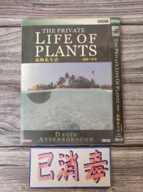 植物私生活 BBC出品 2DVD