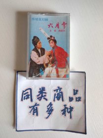 磁带 传统花灯剧 六月雪 又名窦娥冤 蒋丽华主唱