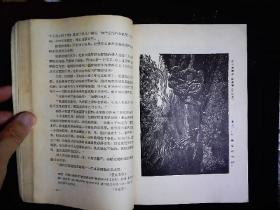 《译文1956.4》（苏）肖洛霍夫；被开垦的处女地连载，（德）卡.康默尔；只有这一条路，（匈牙利）哈默士.格奥尔吉；一个真实的故事，（印度）巴.加尔琪；俄罗斯国王等，插图本