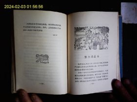 《花城》秦牧（1919-1992）著，散文集秦牧解放10年来抒情散文集。古战场春晓，英雄交响曲，花城等30余篇，精装，袁运甫插图本