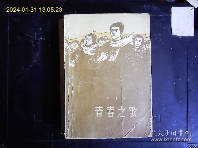 《青春之歌》杨沫（1914-1995）著，描写共产党组织，领导下的北京爱国青年参加12.9运动的长篇小说。1978年版。后皮补