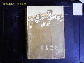 《青春之歌》杨沫（1914-1995）著，描写共产党组织，领导下的北京爱国青年参加12.9运动的长篇小说。1978年版。后皮补