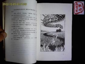 《美国历年获奖科幻读物丛书--黑色隐形者》美国科幻短篇小说13篇，主编；范岳，编辑；宋韵声，陈峰等。1998一版一印