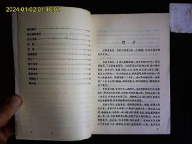 《青石堡》朱剑著，苏北串场河畔青石堡大队社会主义教育运动长篇小说，杨晓岗封面设计，陈丹青插图7幅，好品，1976一版一印