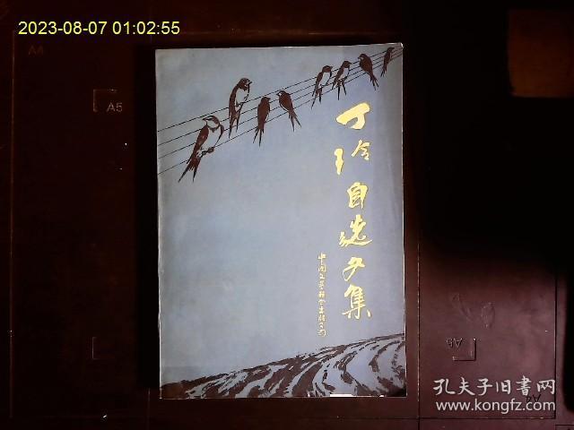 《丁玲自选文集》丁玲著，丁玲小说，散文，戏剧集；‘牛棚小品’河内一郎，1930年春上海，等。1983一版一印