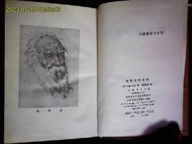 《世界文学史话》（美）约翰.玛西著，胡仲持1931年译本。美国文学批评家约翰.玛西著，欧洲，美洲的文学史。精装。1992一版一印