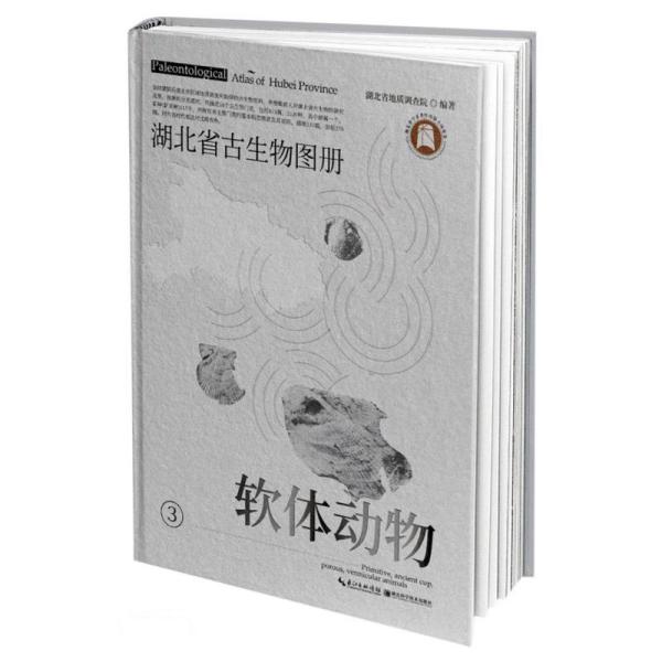 湖北省古生物图册(3软体动物)(精)