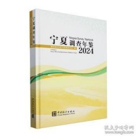 宁夏调查年鉴(24)