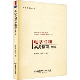 电学专利实务指南(第2版)/实用专利丛书