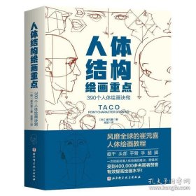人体结构绘画重点
