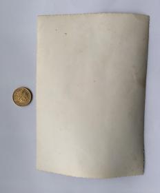 老照片 手工上色 大尺寸粗辫子美女