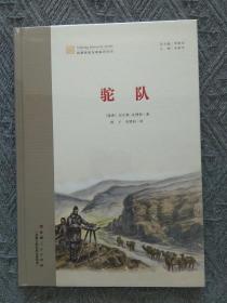 新疆探索发现系列丛书：驼队