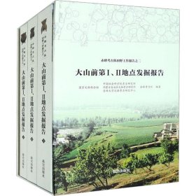 大山前第I、II地点发掘报告（赤峰考古队田野工作报告之二 16开精装 全三册）