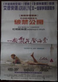 《一树梨花压海棠》1997 九十年代电影原版海报。
 原版电影巨幅海报（铜板纸印制）:尺寸： 长96cm x宽69cm