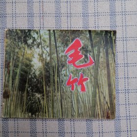毛竹(上海电影)