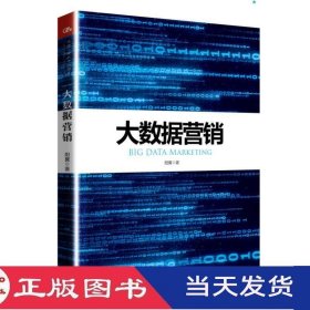 大数据营销阳翼中国人民大学9787300240169