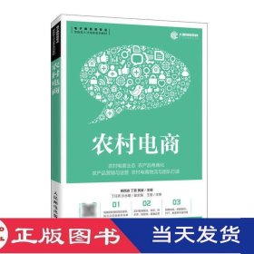 农村电商柳西波丁菊黄睿人民邮电9787115539397