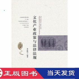 文化产业政策与法律法规黄虚峰北京大学9787301229071