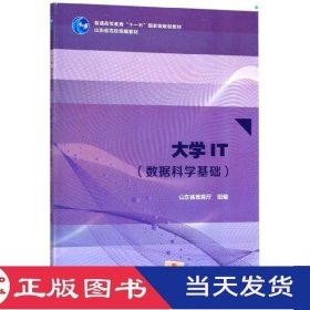 大学IT数据科学基础山东省教育厅中国石油大学9787563664856