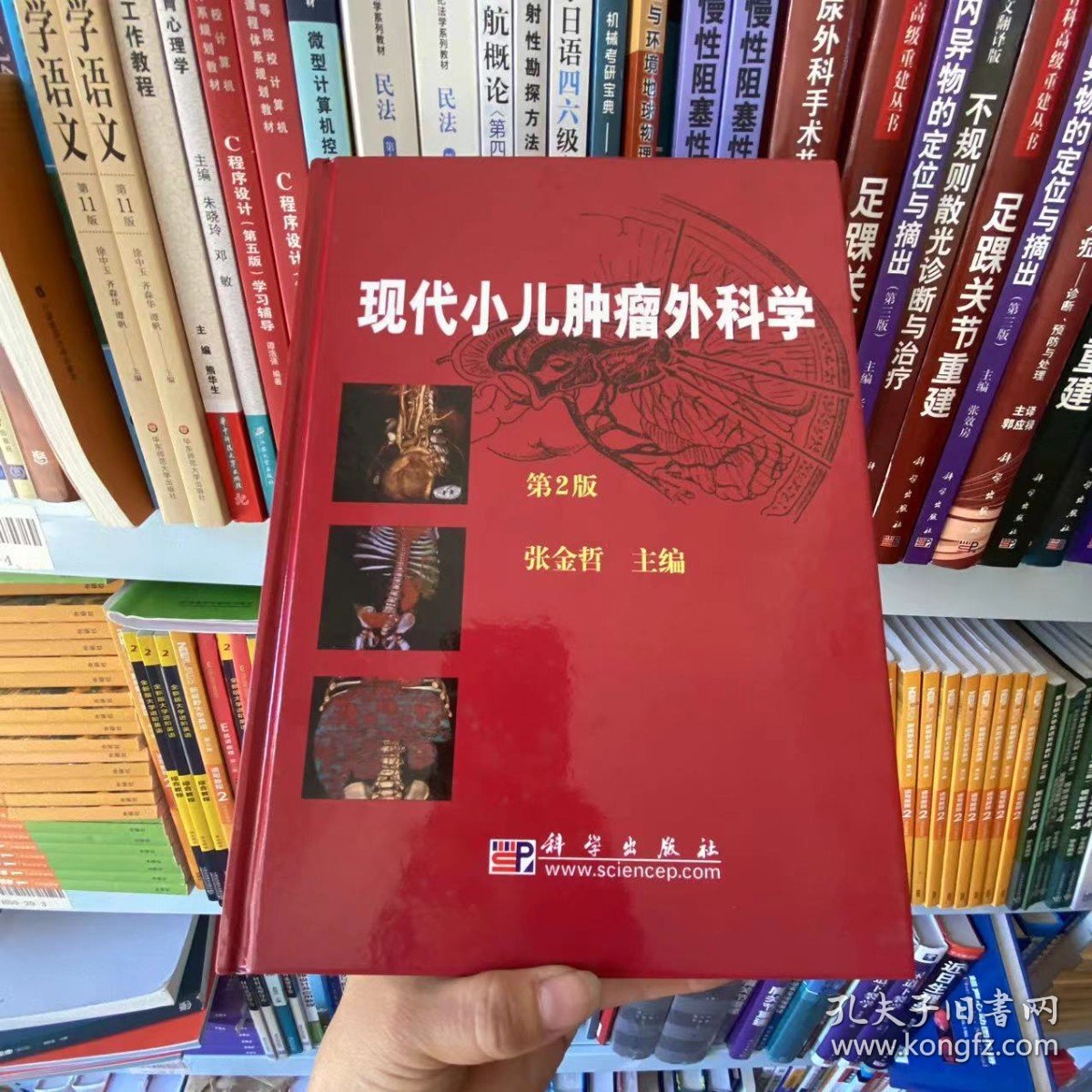 现代小儿肿瘤外科学（第2版）9787030246981