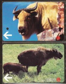 上海市2003年纪念版地铁卡-野羚牛,二全全新品.