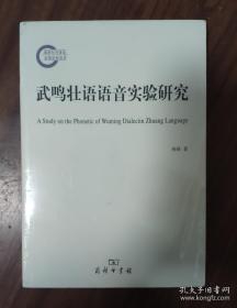 武鸣壮语语音实验研究