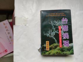 台湾祸福:梳理大陆与大洋之间的历史流变（上册）