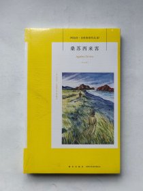 桑苏西来客：阿加莎·克里斯蒂侦探作品集20