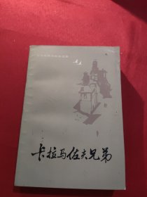 陀思妥耶夫斯基选集——卡拉马佐夫兄弟（下册 ）