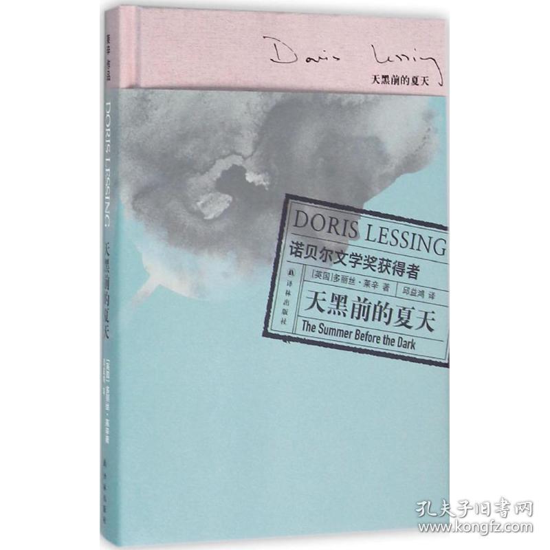 天黑前的夏天 外国现当代文学 (英)多丽丝·莱辛(doris lessing)  新华正版