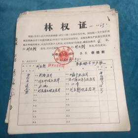 林权证（（60张左右合售）1982年湖南省新邵县人民政府给高家坳的村民林权证