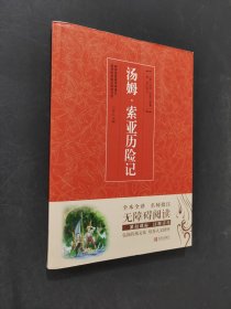 湯姆索亞歷險(xiǎn)記