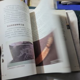 考古中国110年：改写中国历史的42处重大考古发现（全彩版）