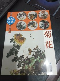 临摹宝典中国画技法：菊花