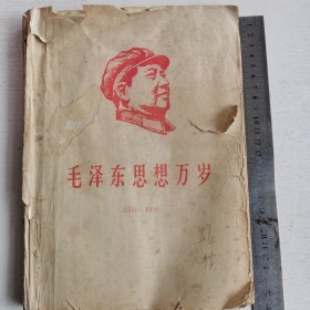 毛泽东思想万岁（1958—1959）