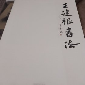 王建根书法