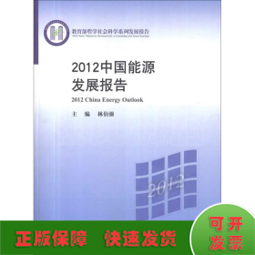 2012中国能源发展报告