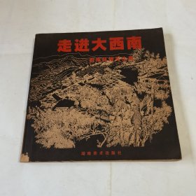 走進(jìn)大西南：西南風(fēng)情寫(xiě)生集