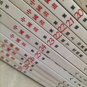 中国当代国画艺术丛刊——中国画 第1、2、3、4、5、6、7、8、9、10、11、12、13、14、15、16、17、18、19、20、21、22（上、下两本）、23、24、25、26、27、28、29辑，共30本合售