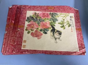 12张（花景与猫）16开    五六十年代