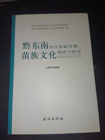 黔东南台江县阳芳寨苗族文化调查与研究